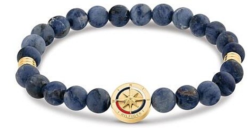 Tommy Hilfiger Férfi Karkötő - Compass THJ2790723